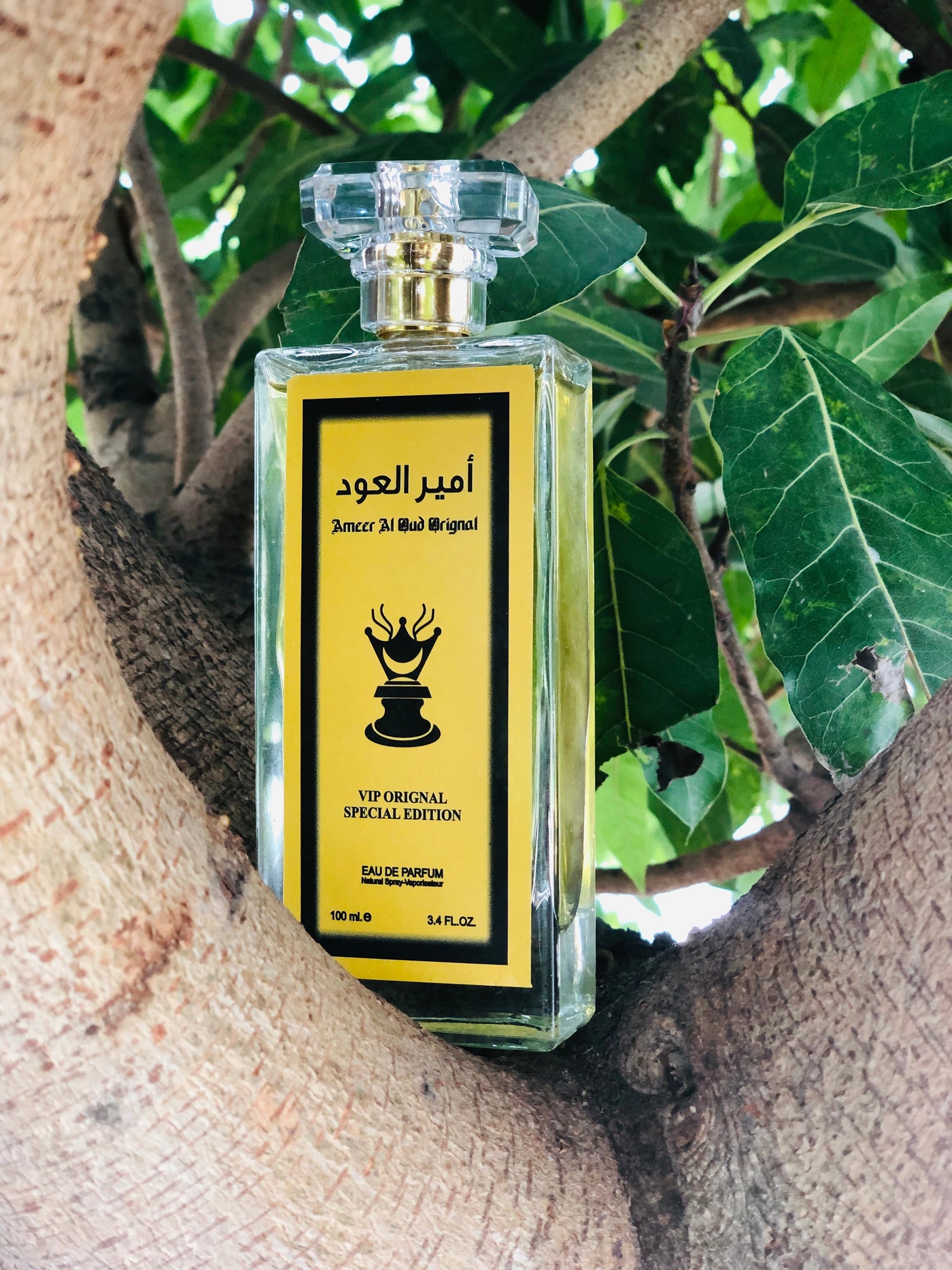 Ameerul Oud 100ml